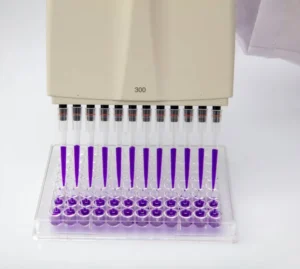 microtiter plate