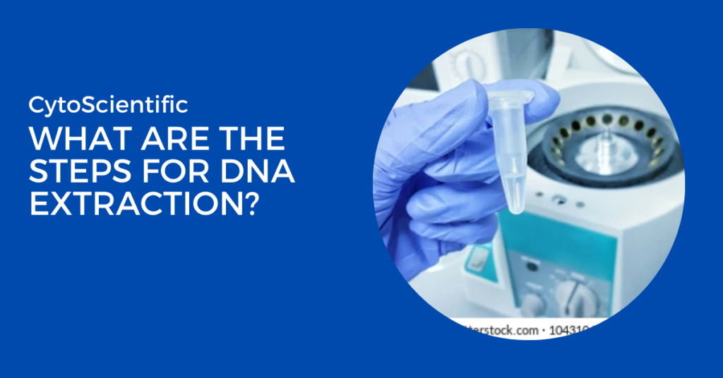 DNA Extraction