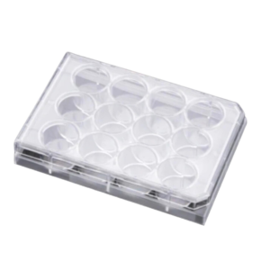 12-Well Cell Culture Plate