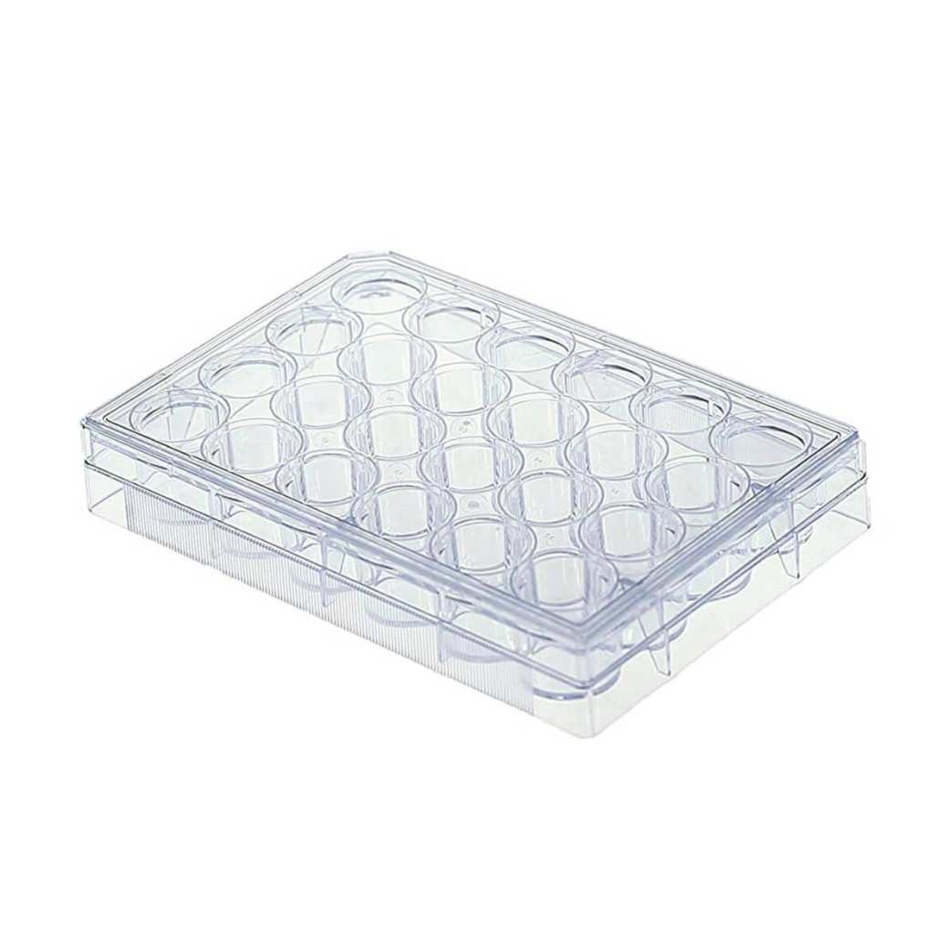 24-Well Cell Culture Plate