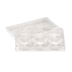 6-Well Cell Culture Plate